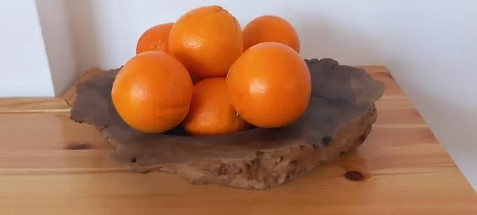 度假居 Casa Do Pescador *